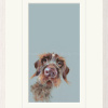 Mischievous, Wire Haired Dachshund by Nicky Litchfield, limited edition print