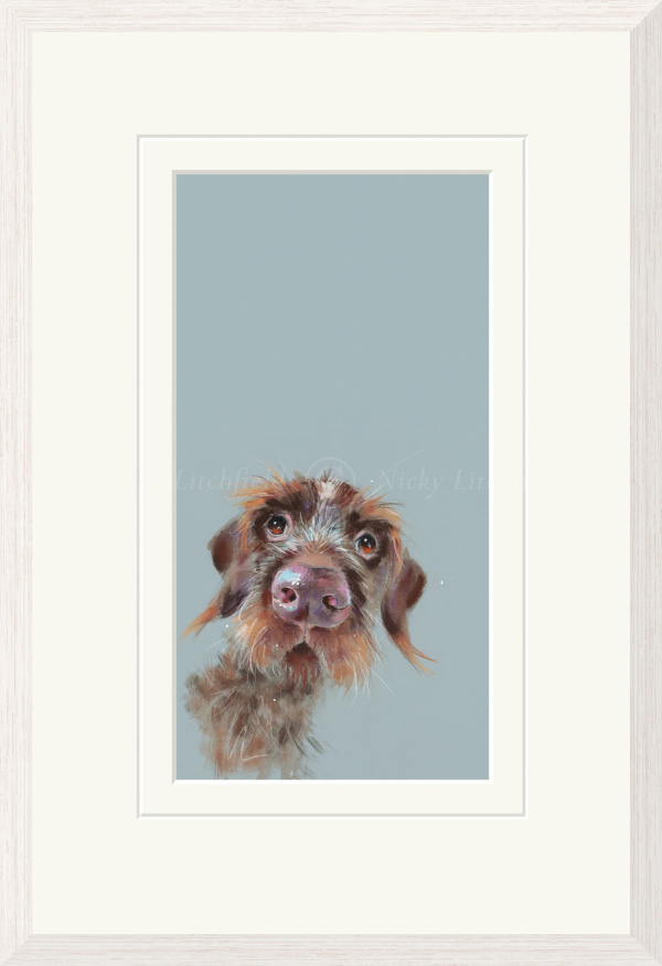 Mischievous, Wire Haired Dachshund by Nicky Litchfield, limited edition print
