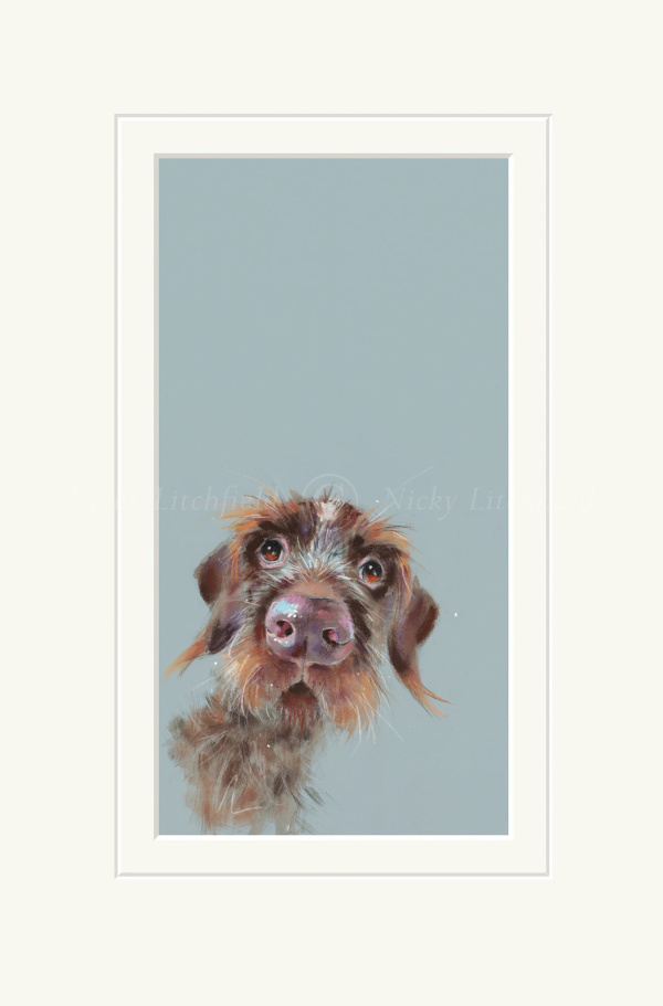 Mischievous, Wire Haired Dachshund by Nicky Litchfield, limited edition print