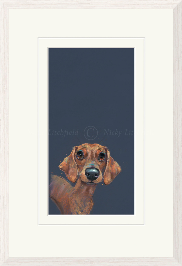 Sausage Dog, Dachshund by Nicky Litchfield, limited edition print