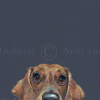 Sausage Dog, Dachshund by Nicky Litchfield, limited edition print