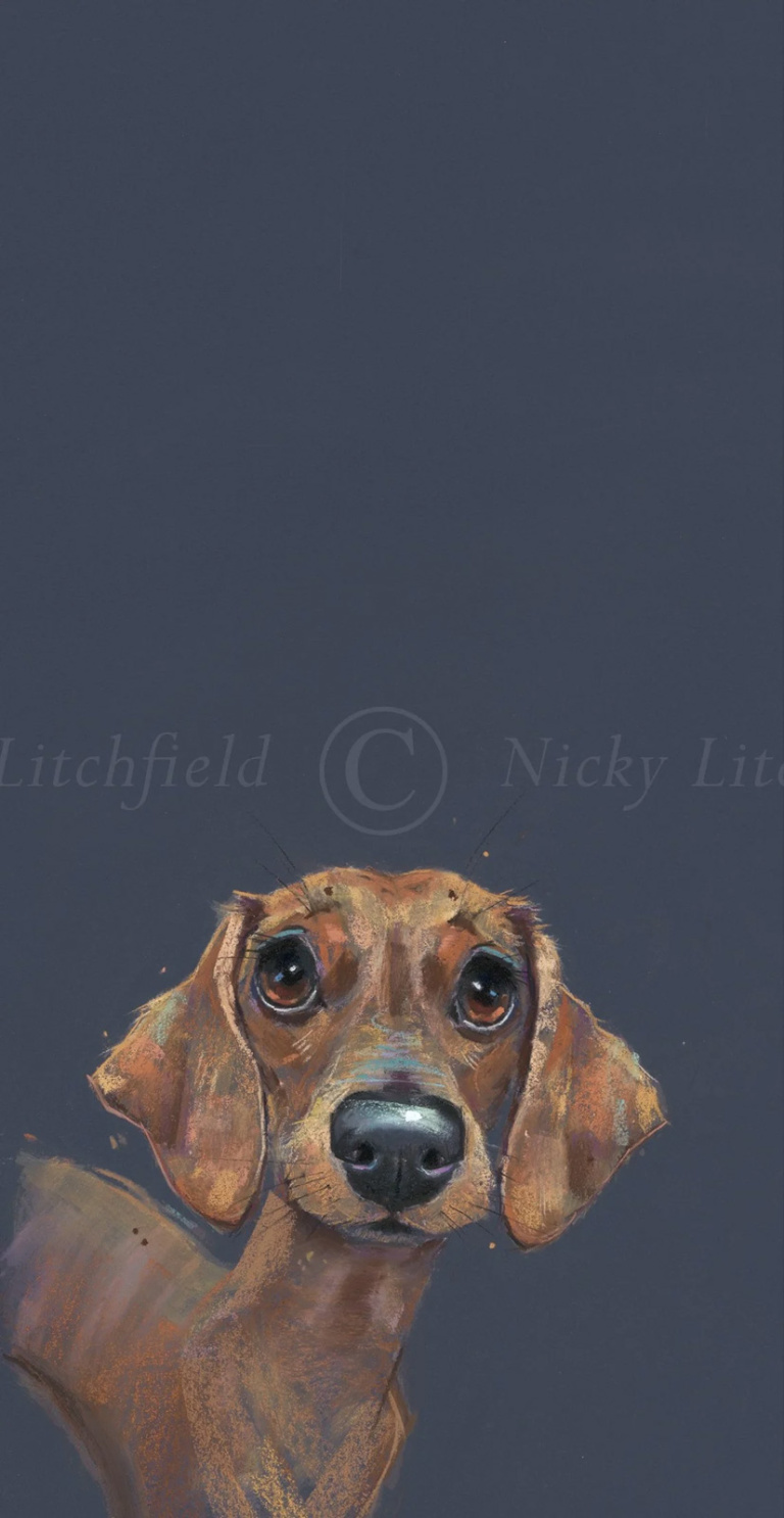 Sausage Dog, Dachshund