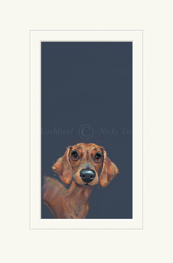 Sausage Dog, Dachshund by Nicky Litchfield, limited edition print