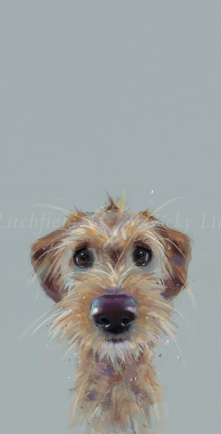 Scruff, Dog