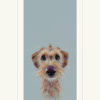 Scruff, Dog by Nicky Litchfield, limited edition print