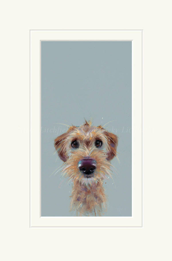 Scruff, Dog by Nicky Litchfield, limited edition print