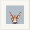 Well Hello There, Donkey by Nicky Litchfield, limited edition print