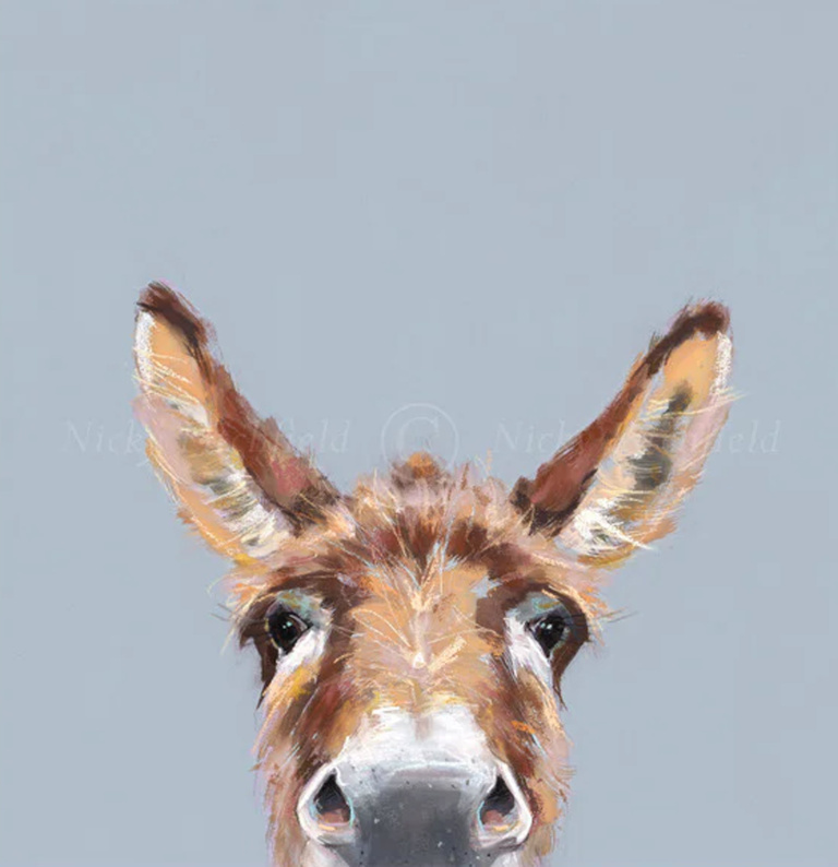 Well Hello There, Donkey