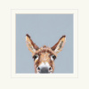 Well Hello There, Donkey by Nicky Litchfield, limited edition print