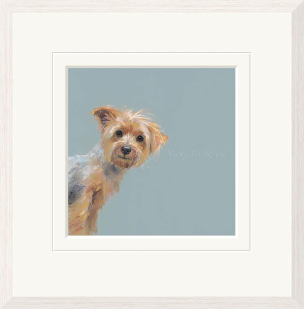 Yorkie, Yorkshire Terrier by Nicky Litchfield, limited edition print