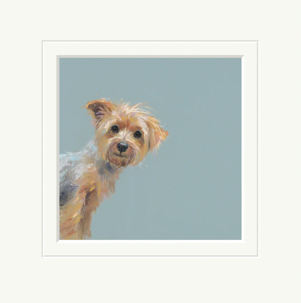 Yorkie, Yorkshire Terrier by Nicky Litchfield, limited edition print