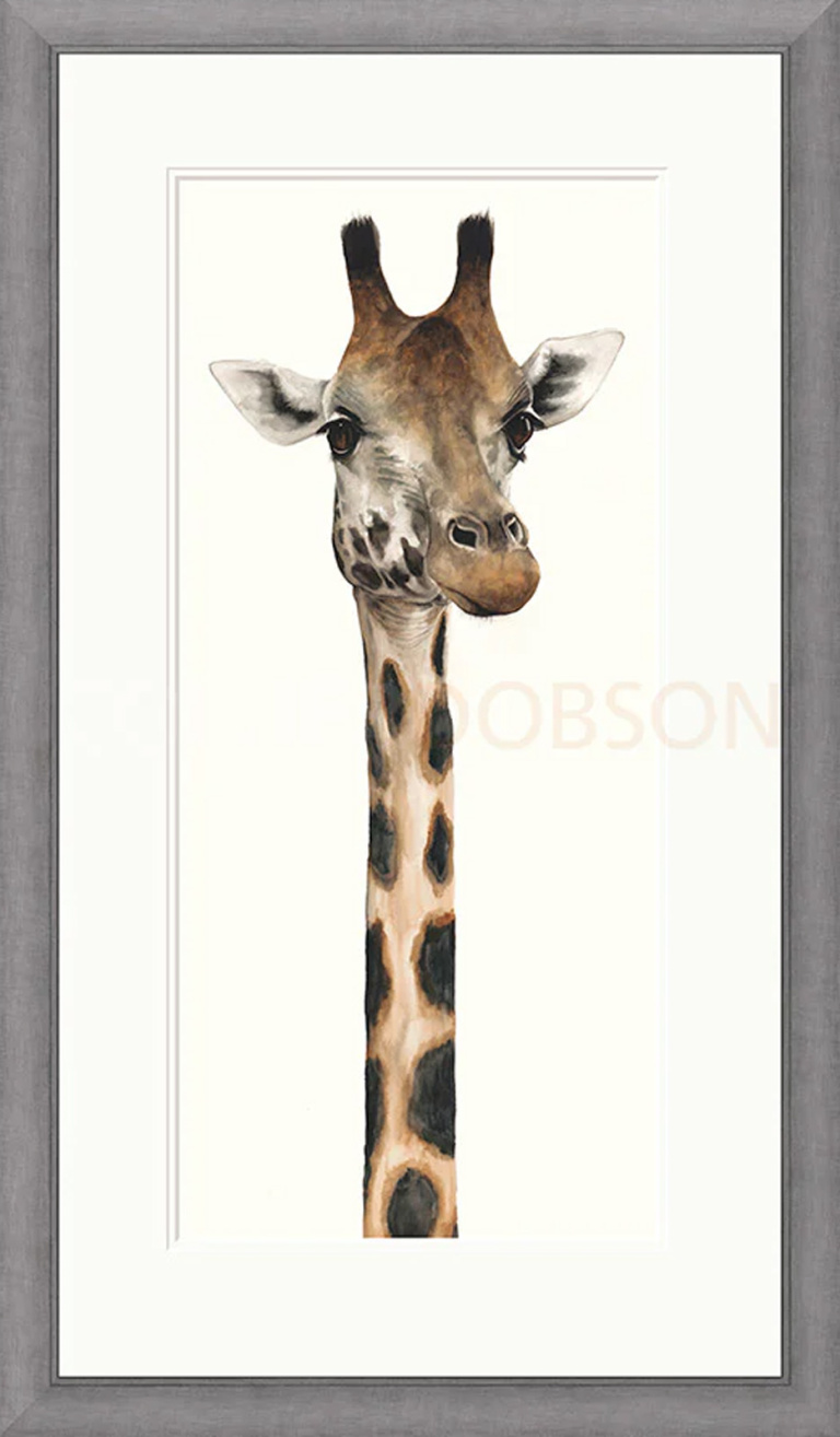 Tall, Dappled and Handsome