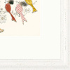 Bird Song by Anna Wright, limited edition print, detail