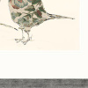 Holding Court by Anna Wright, limited edition print, detail