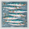 Mackerel Swim (Limited Edition) by Giles Ward, limited edition print