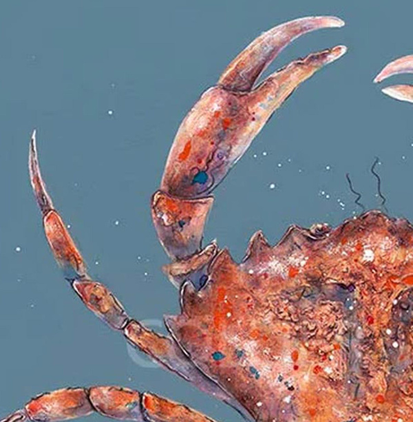 Red Crab (Limited Edition) by Giles Ward, limited edition print, detail