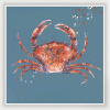Red Crab (Limited Edition) by Giles Ward, limited edition print