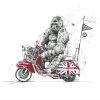 A Way Of Life by Scott Tetlow, limited edition print