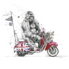 A Way Of Life by Scott Tetlow, limited edition print