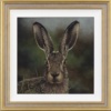 Original oil painting featuring an alert hare on blurry background however exposing great detail into her expression by talented British artist Stephen Park