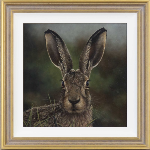 Original oil painting featuring an alert hare on blurry background however exposing great detail into her expression by talented British artist Stephen Park