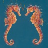 Something About Us, Seahorses (Limited Edition) by Giles Ward, limited edition print
