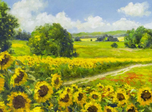 Sunflower Season by Gerhard Nesvadba, original painting