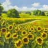 Sunflower Season by Gerhard Nesvadba, original painting