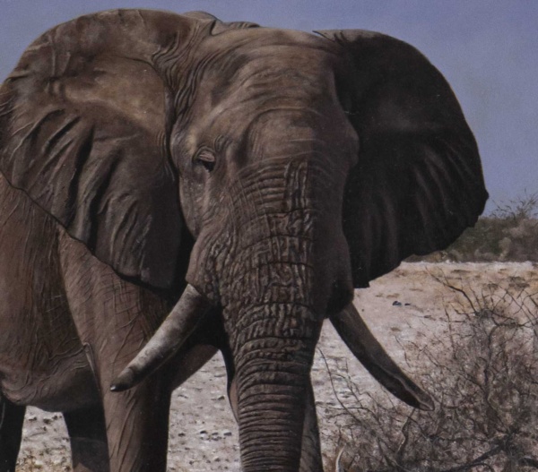 Majestic Elephant by Stephen Park, original painting