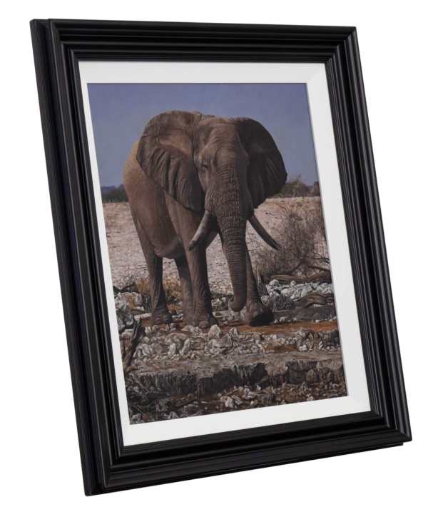 Majestic Elephant by Stephen Park, original painting