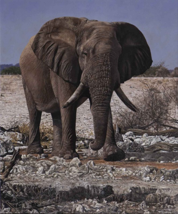 Majestic Elephant by Stephen Park, original painting