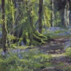 Bluebell Walk by Stephen Hawkins, original painting
