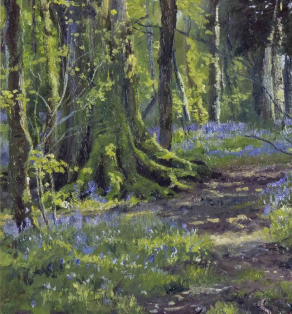 Bluebell Walk by Stephen Hawkins, original painting