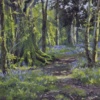 Bluebell Walk by Stephen Hawkins, original painting