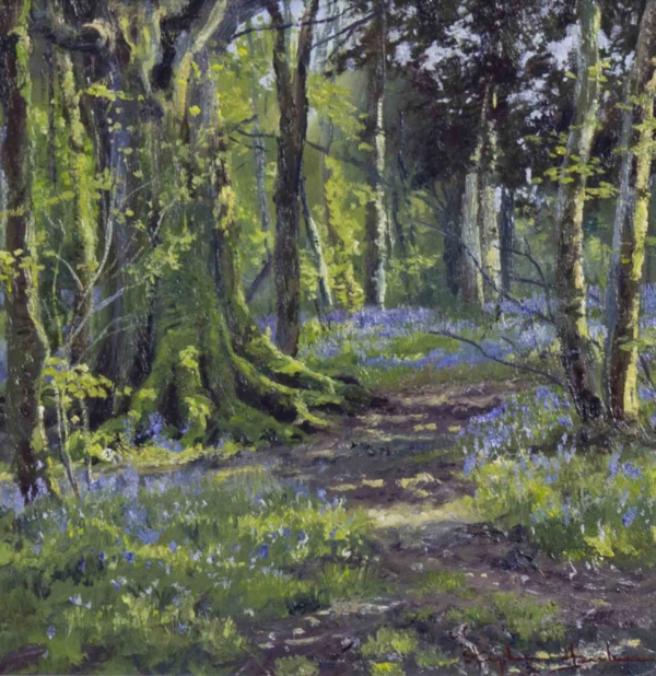 Bluebell Walk by Stephen Hawkins, original painting