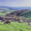 South Downs Pastures by Stephen Hawkins, original painting