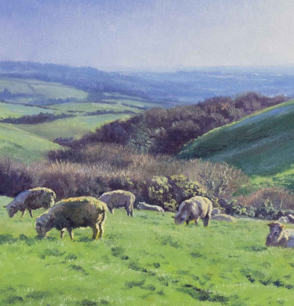 South Downs Pastures by Stephen Hawkins, original painting