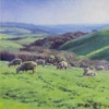 South Downs Pastures by Stephen Hawkins, original painting