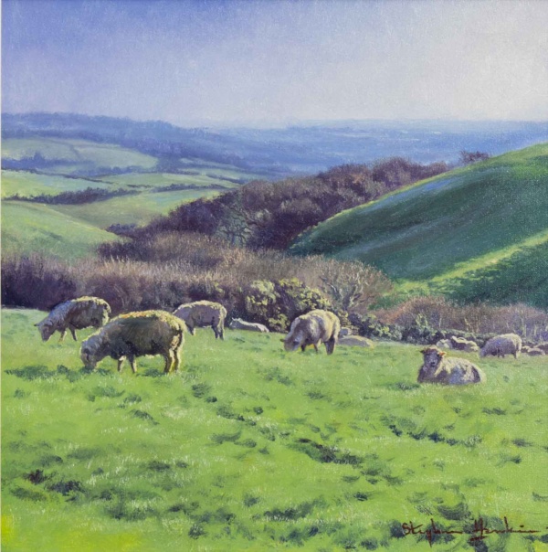 South Downs Pastures by Stephen Hawkins, original painting
