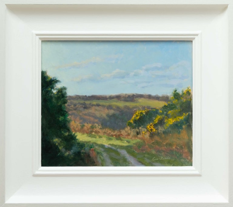 Autumn Glow, Ashdown Forest by Matthew Cordwell