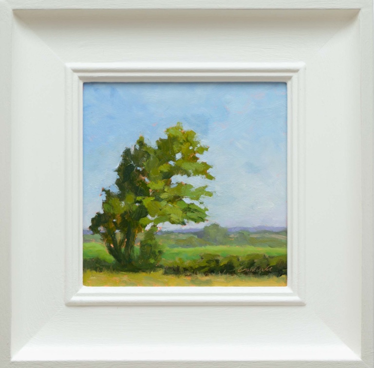 Wilmington Ash by Matthew Cordwell