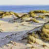 Dunas de Doñana by Juan Antonio Domínguez, original painting