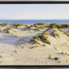 Dunas de Doñana by Juan Antonio Domínguez, original painting