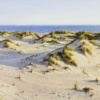 Dunas de Doñana by Juan Antonio Domínguez, original painting