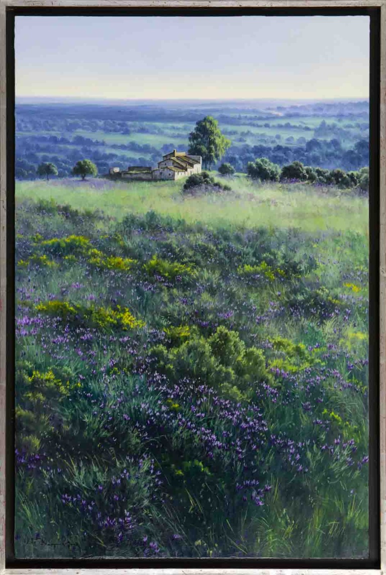 Paisaje Andaluz