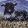 The Black Sheep by Ruby Keller, original painting