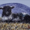 The Black Sheep by Ruby Keller, original painting