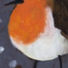 david alderman bird paintings