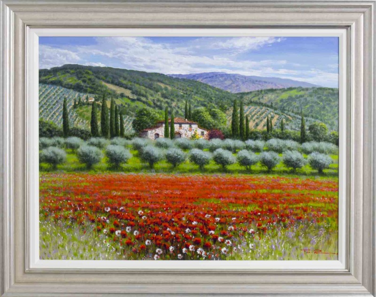 May Poppy Fields, Tuscany