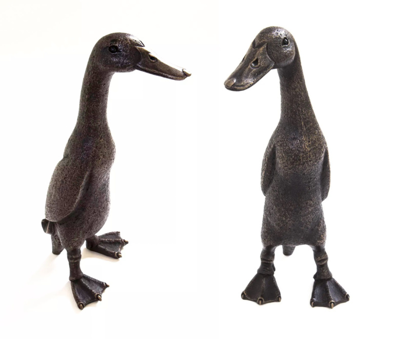 Eric & Buzz, Indian Runner Duck Bundle